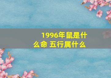 1996年鼠是什么命 五行属什么